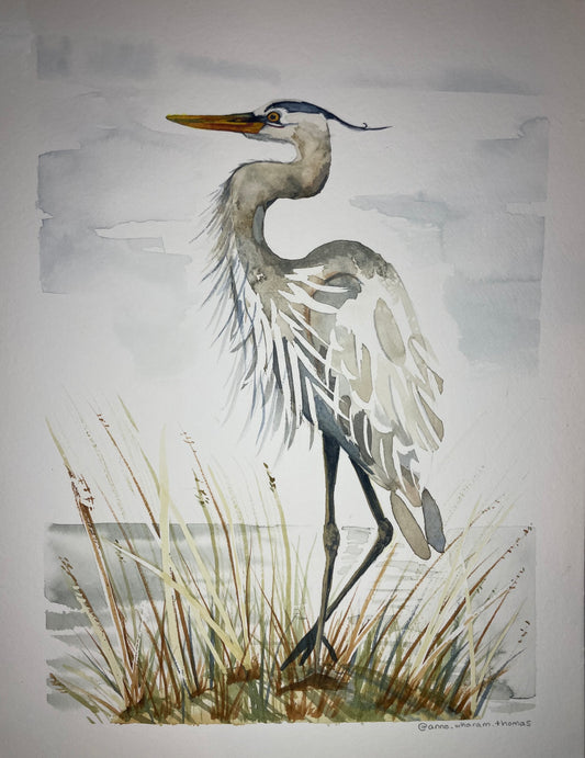 Blog Post #7: Great Blue Herons