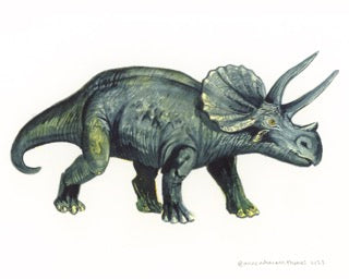 Triceratops Fine Art Print
