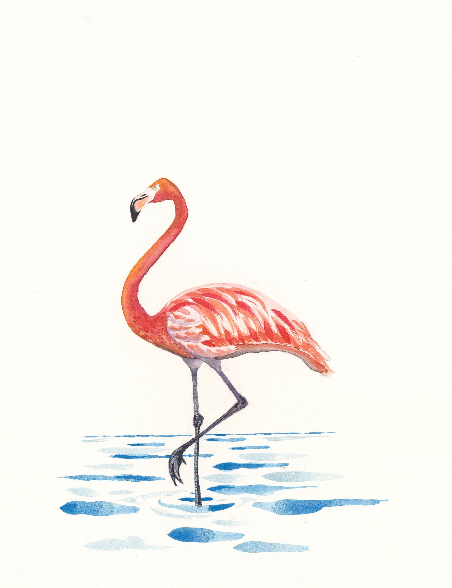 Flamingo Fine Art Print