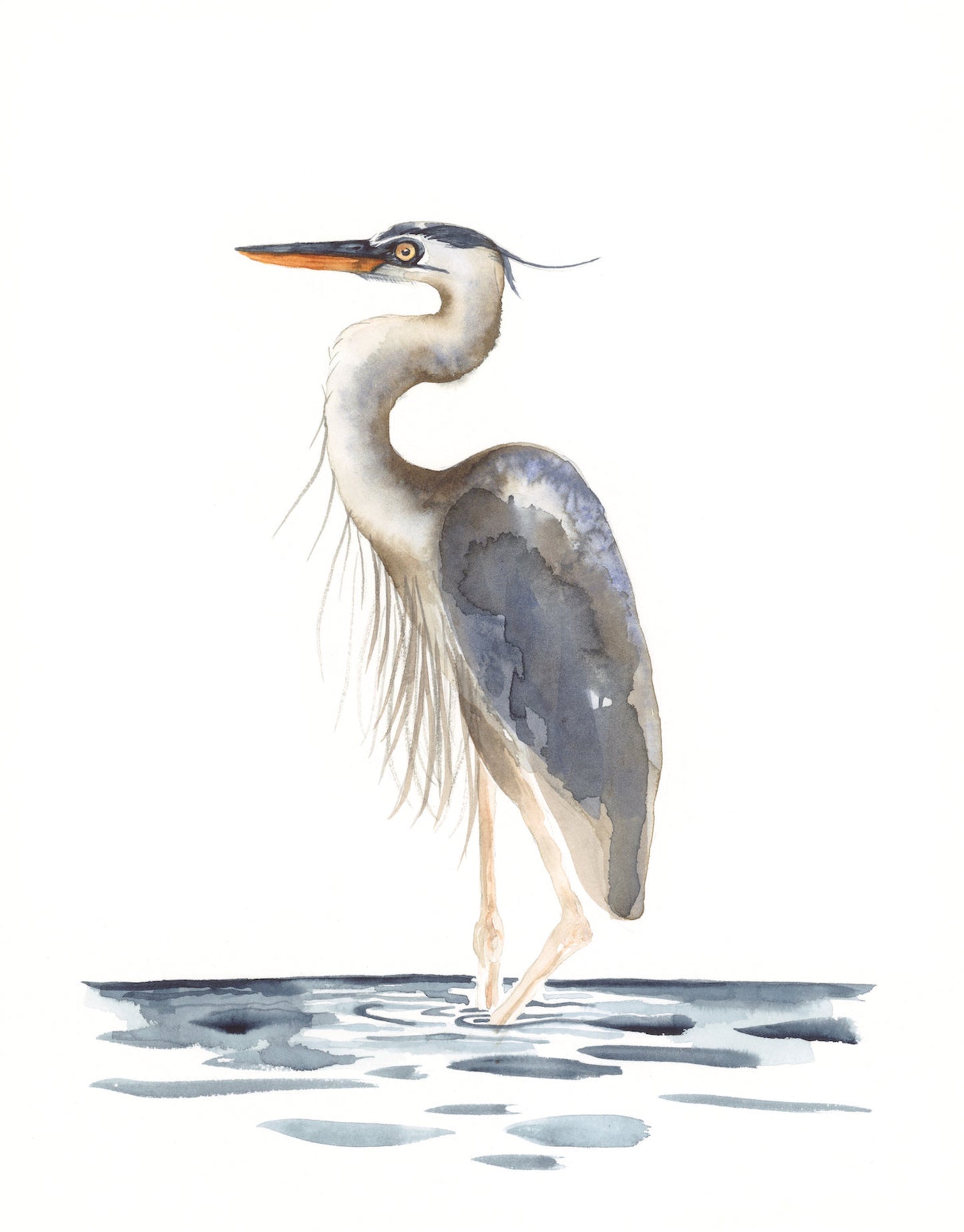 Serene Great Blue Heron Fine Art Print