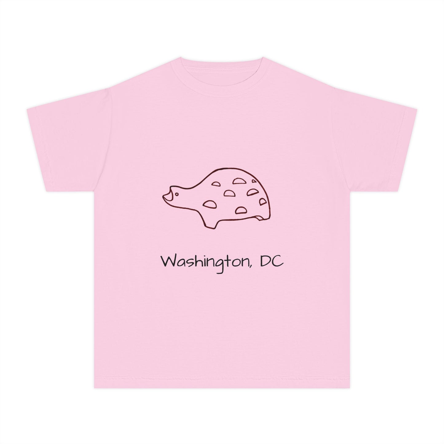 The Kids' Iconic Playground Turtle Tee: Washington DC Version