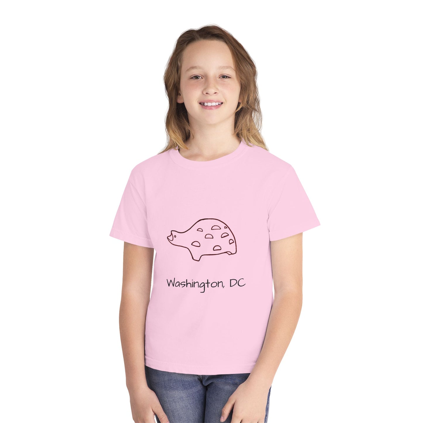 The Kids' Iconic Playground Turtle Tee: Washington DC Version