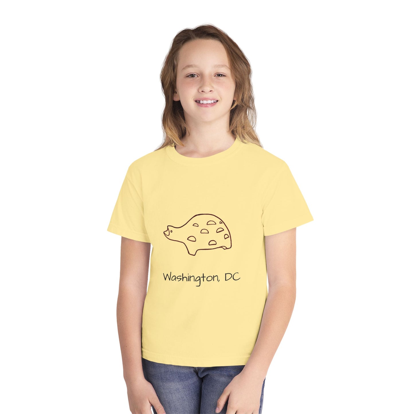 The Kids' Iconic Playground Turtle Tee: Washington DC Version