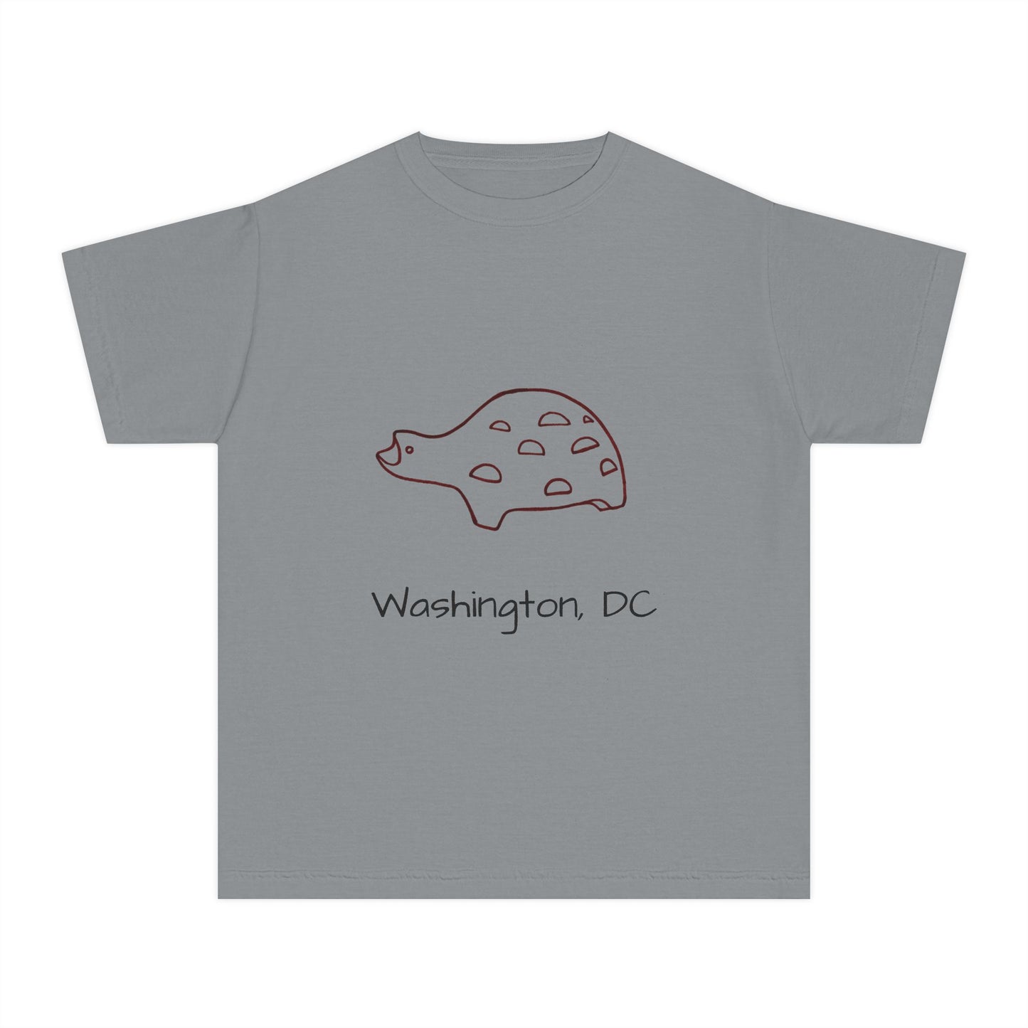 The Kids' Iconic Playground Turtle Tee: Washington DC Version