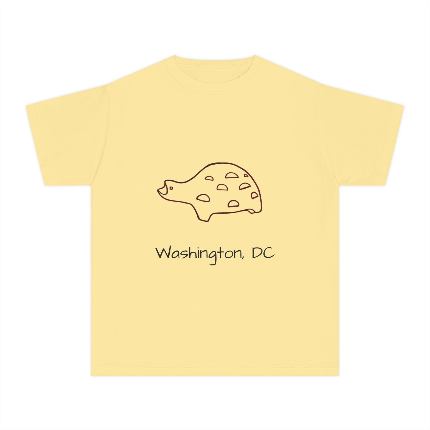 The Kids' Iconic Playground Turtle Tee: Washington DC Version