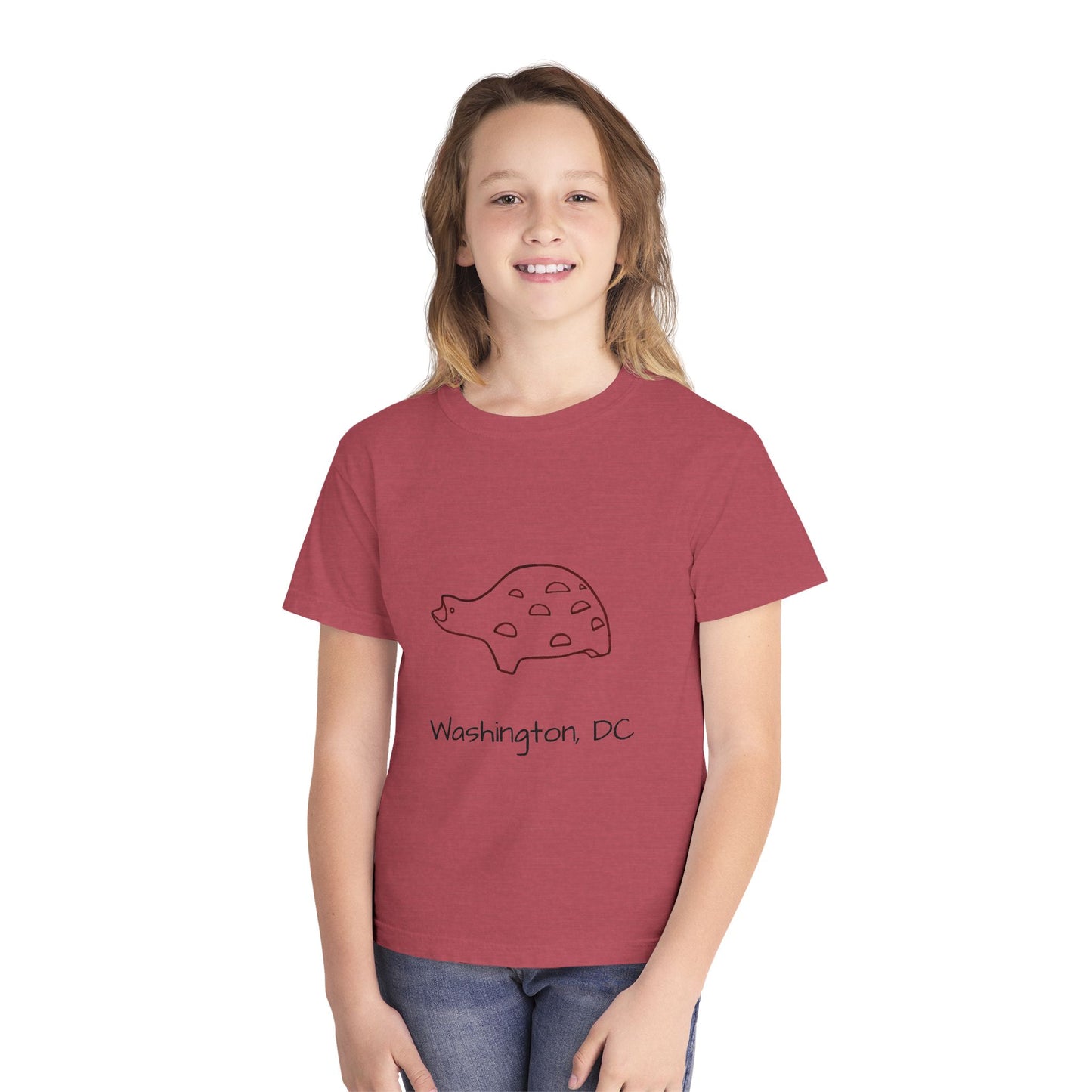 The Kids' Iconic Playground Turtle Tee: Washington DC Version
