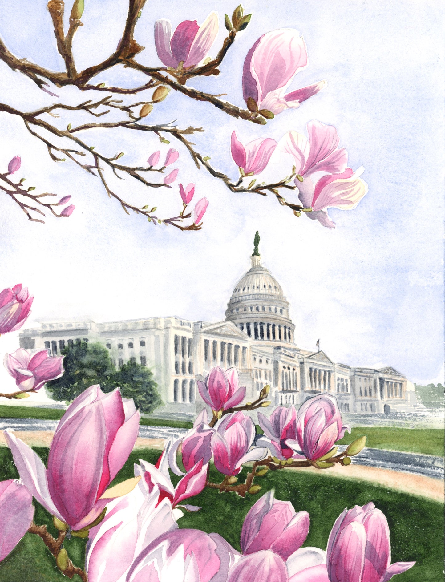 U.S. Capitol in Spring
