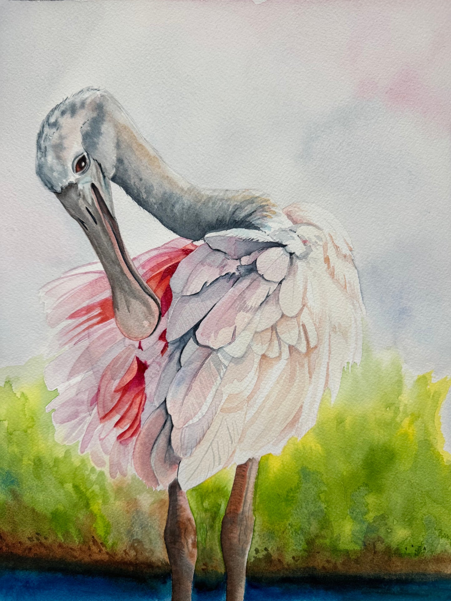 Roseate Spoonbill