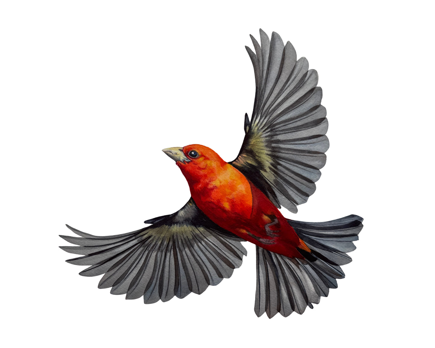 Commission Completion