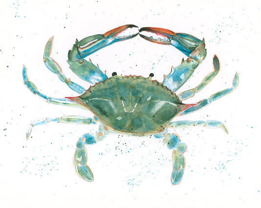 Playful Blue Crab Fine Art Print